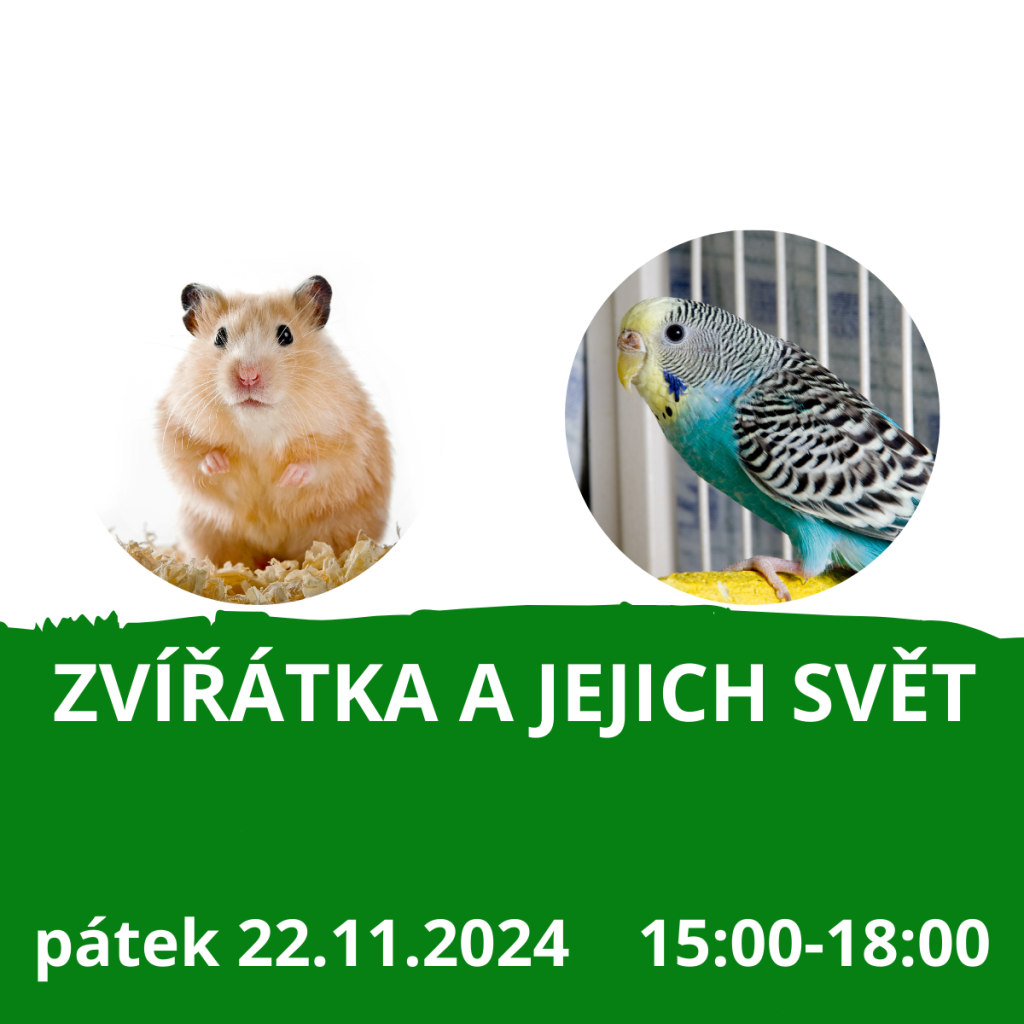 Zvířátka a jejich svět