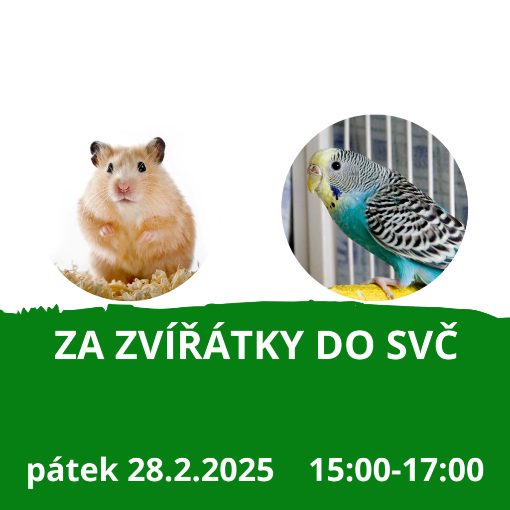 Za zvířátky do SVČ - ÚNOR