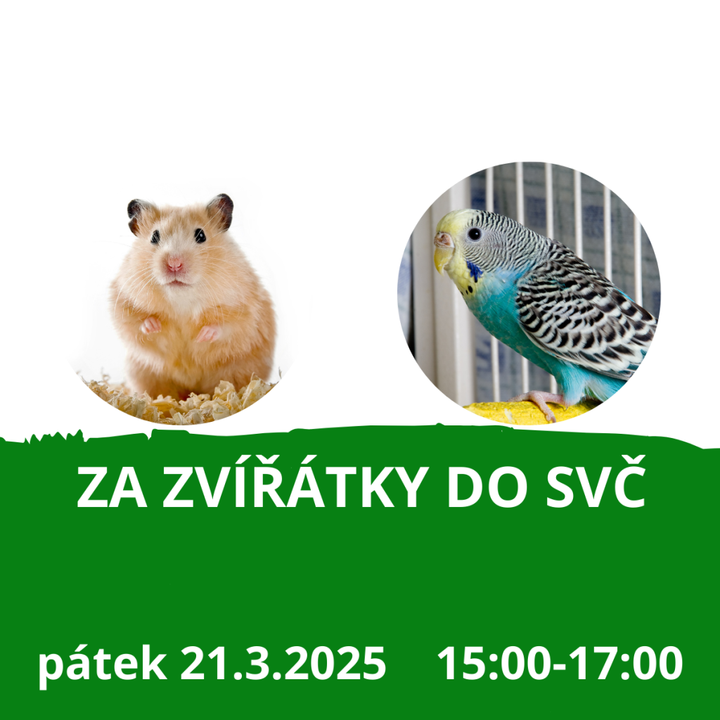 Za zvířátky do SVČ - BŘEZEN