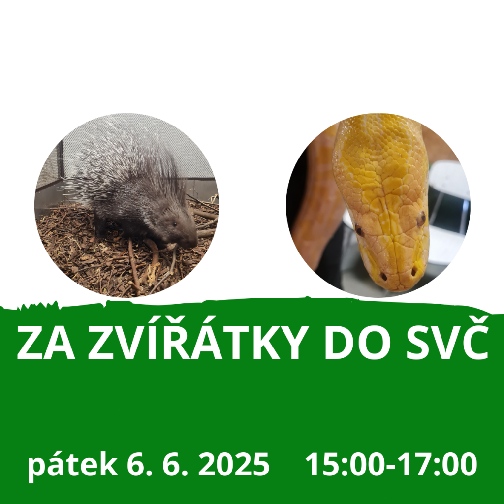 Za zvířátky do SVČ - ČERVEN