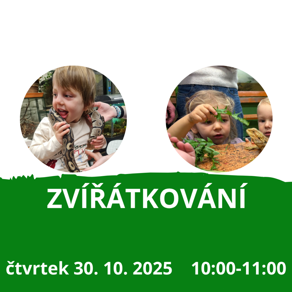 Zvířátkování 30.10