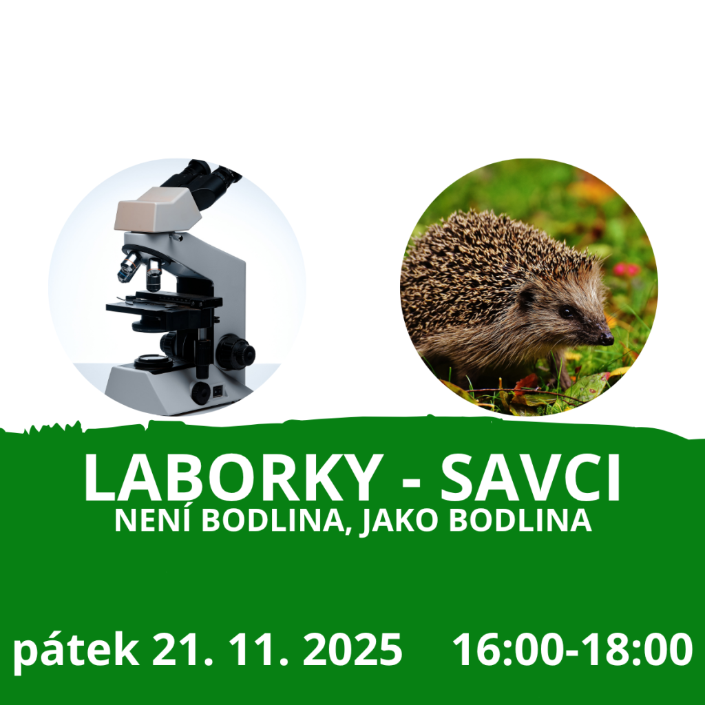 Laborky s bodlinami