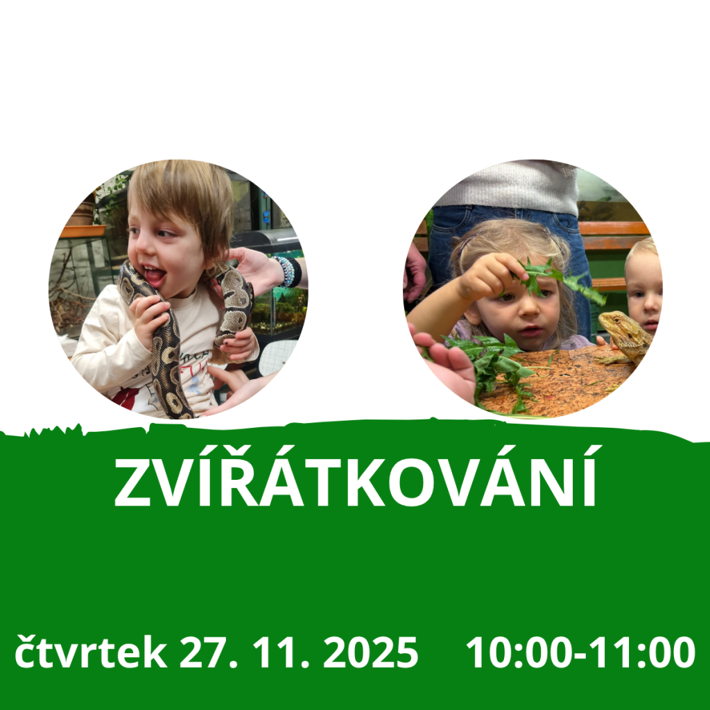 Zvířátkování 27.11.