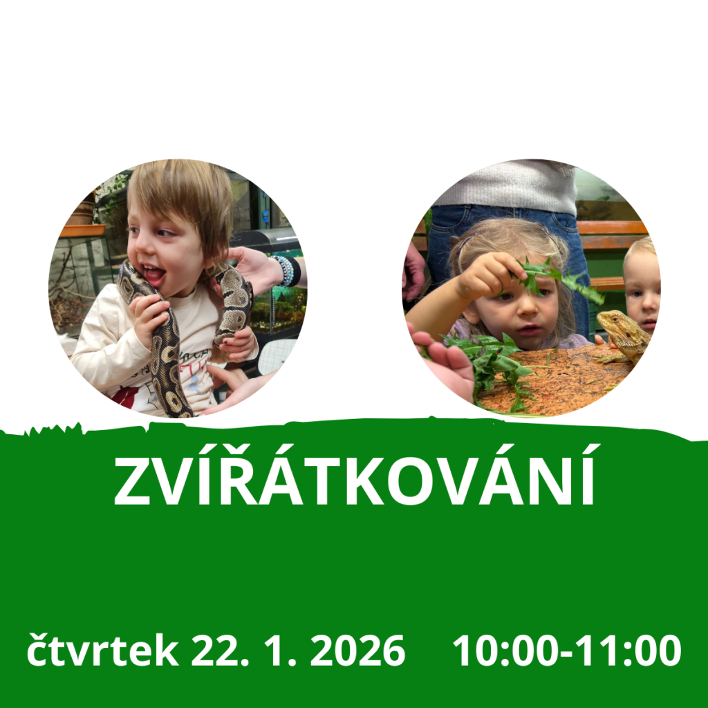 Zvířátkování 22. 1. 2026