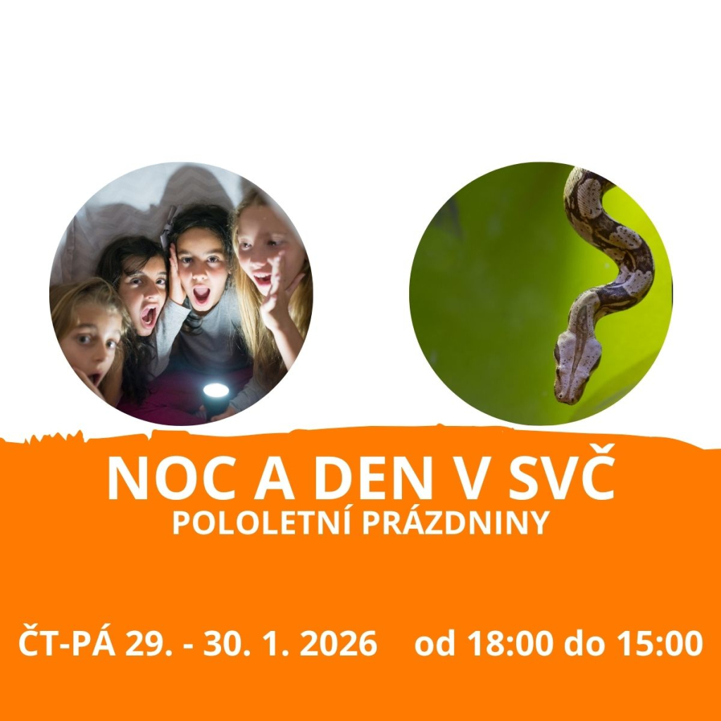 Noc a den v SVČ