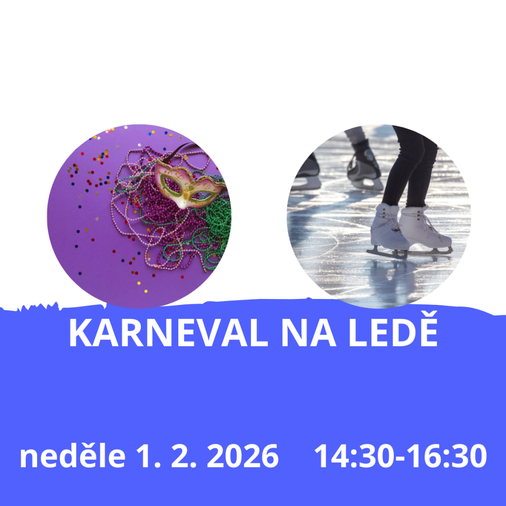 Karneval na ledě