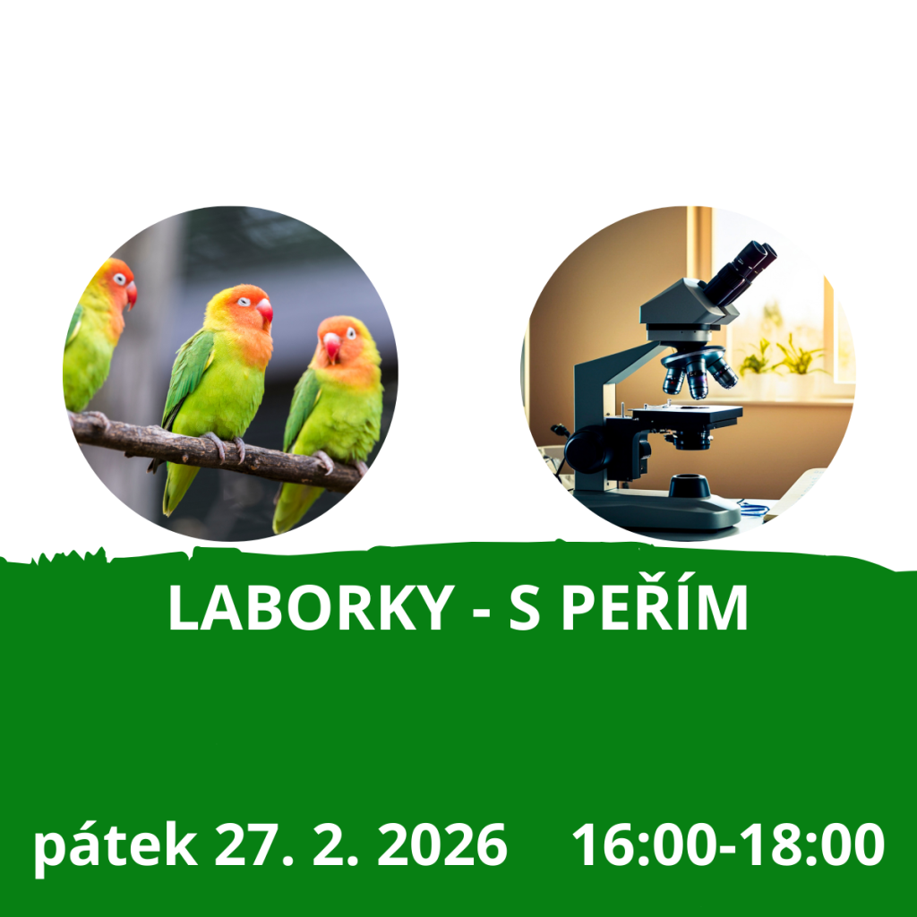 Laborky - s peřím
