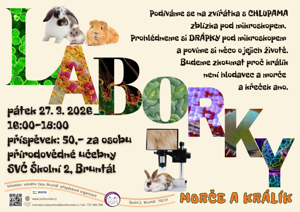 Laborky - morče a králík