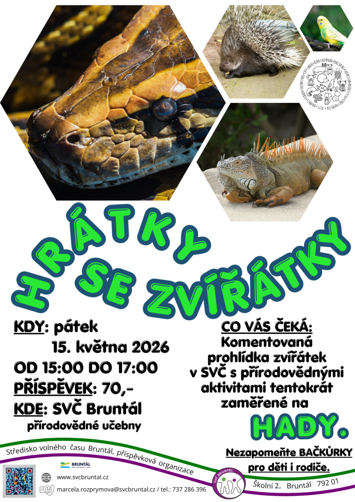 Hrátky se zvířátky