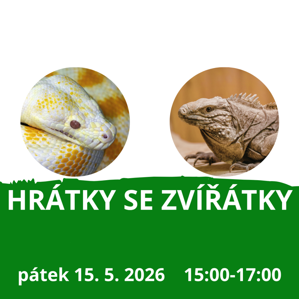 Hrátky se zvířátky