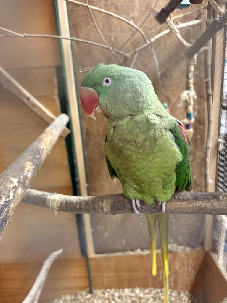 IMG_7289.jpeg
