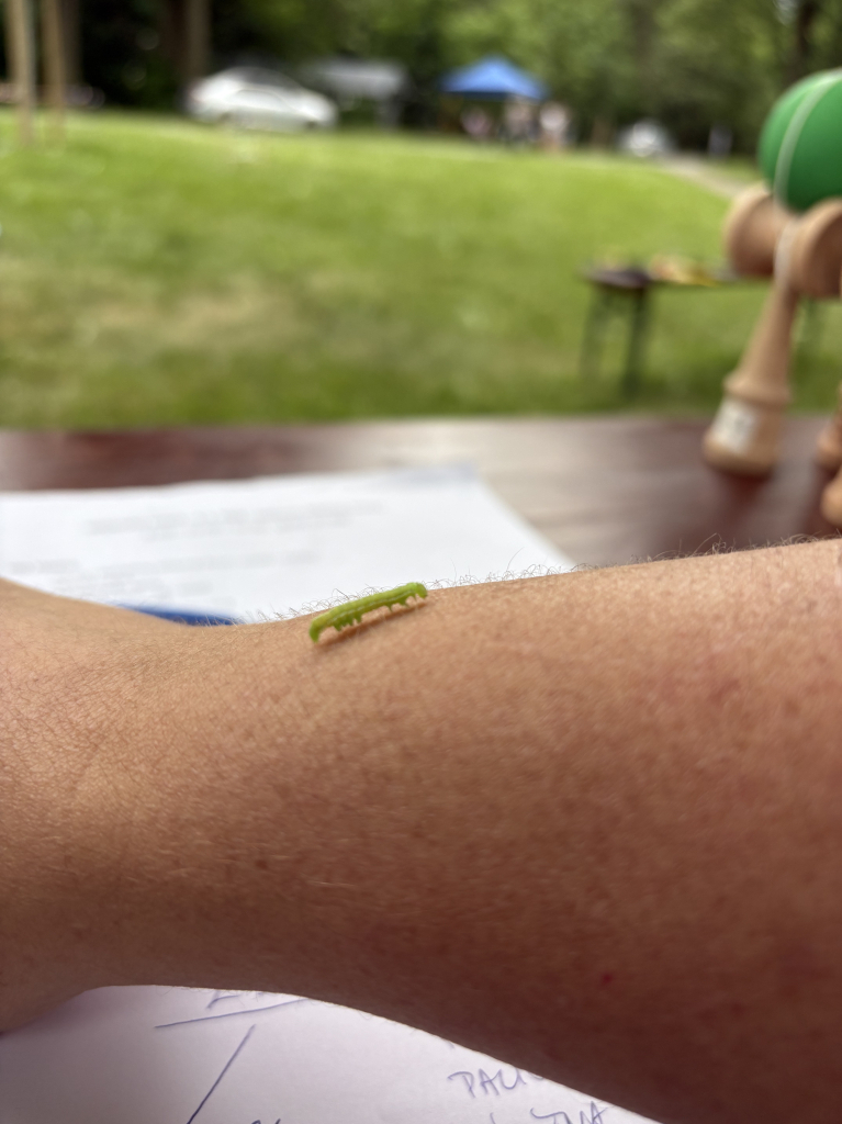 IMG_8452.jpeg