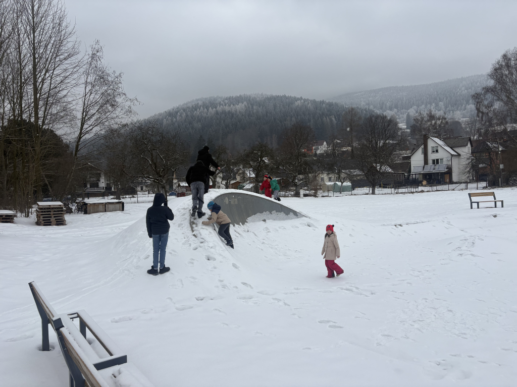 IMG_8264.jpeg
