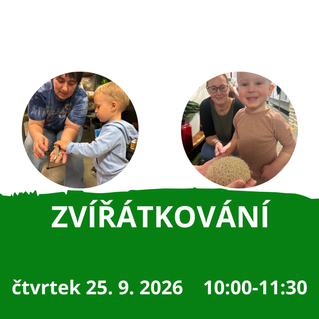 Zvířátkování