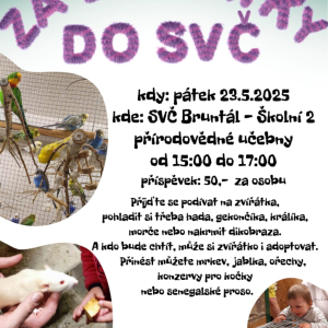 Za zvířátky do SVČ