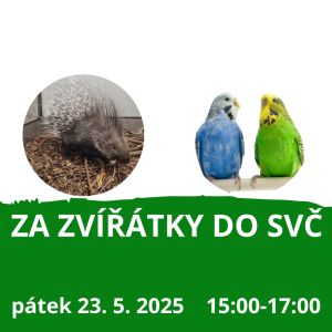 Za zvířátky do SVČ