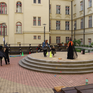 IMG_8264.JPG