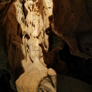 IMG_20250710_101210.jpg