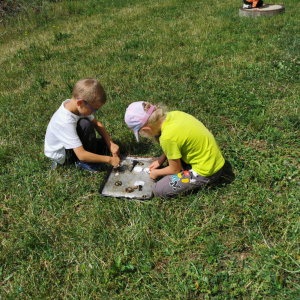 IMG_20250711_113427.jpg
