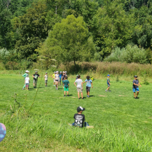 20250810_121740.jpg