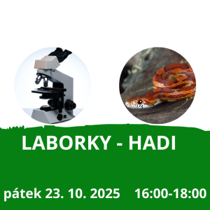 Laborky - teraristika - Hadi