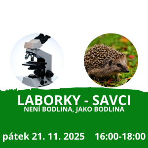 Laborky s bodlinami