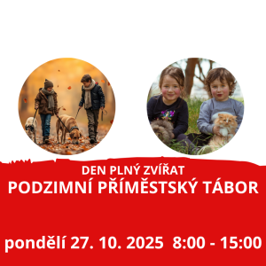 PT - Den plný zvířátek