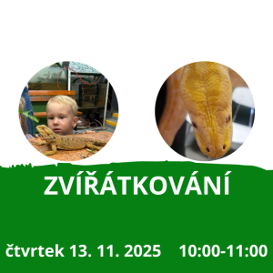 Zvířátkování 13.11.