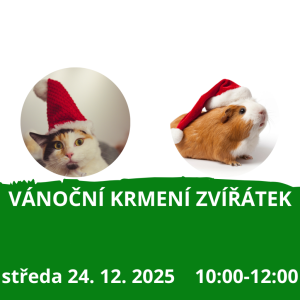 Vánoční krmení zvířátek