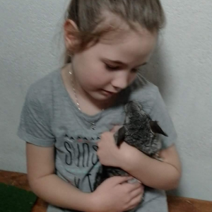 Vánoční krmení zvířátek