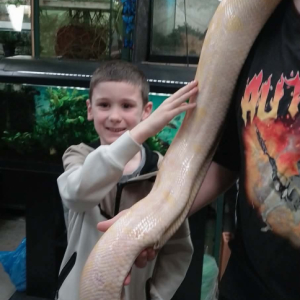 Dinosauří odpoledne 