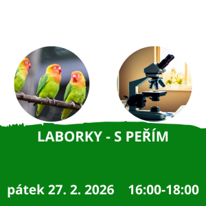 Laborky - s peřím