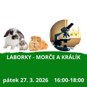 Laborky - morče a králík